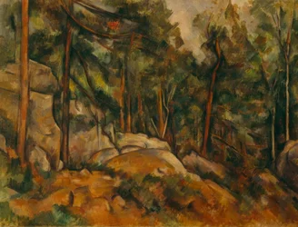 Intérieur de forêt